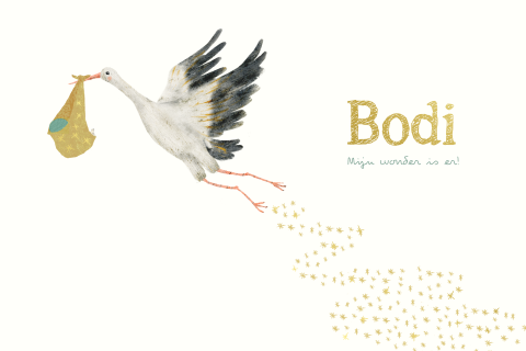 Geboortekaartje met tekening ooievaar en sterrenwolk van goudfolie
