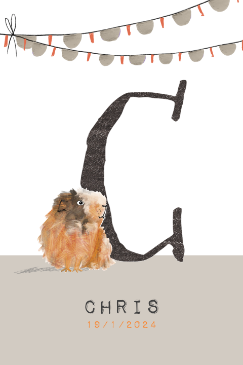 Geboortekaartje met initiaal C van Cavia met feestelijke slingers