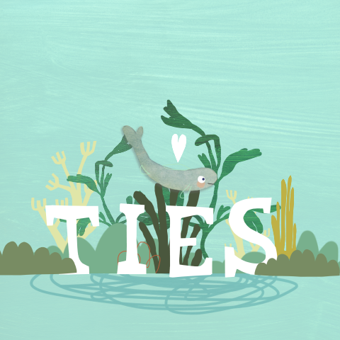 Onderwater geboortekaartje met grote letters en zeeplantjes