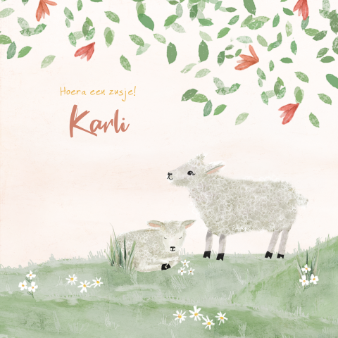 Lente geboortekaartje tekening lammetjes wei