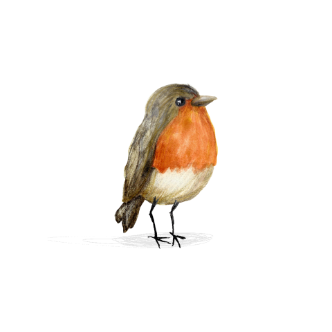 Sluitsticker roodborstje