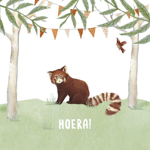 Wenskaartje Hoera met rode panda en mooie slingers
