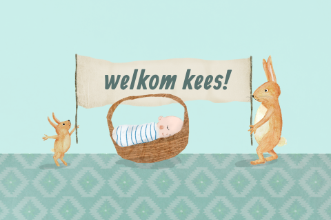Geboortekaartje velvet met haasjes en spandoek