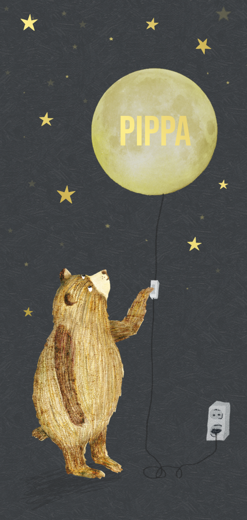 Geboortekaartje dubbel met beer onder de maan en sterren van folie