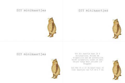DIY minikaartjes 4 stuks