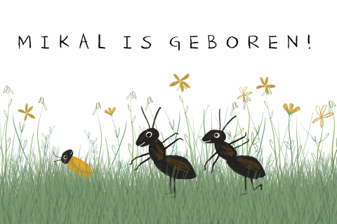 Geboortebord mieren in het gras