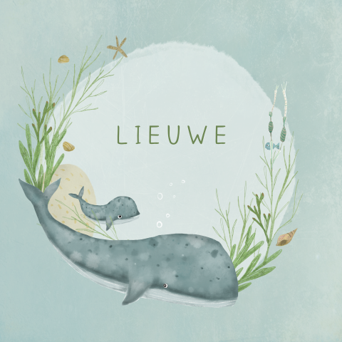 Geboortekaartje walvis met baby in de oceaan