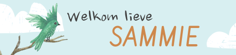 Langwerpig labeltje met vogeltje in de lucht - 16 stuks