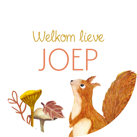 Labeltje rond met eekhoorn in de herfst - 16 stuks
