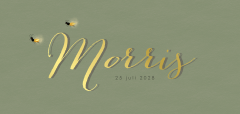 Geboortekaartje kalligrafische letters met goud en vuurvliegjes
