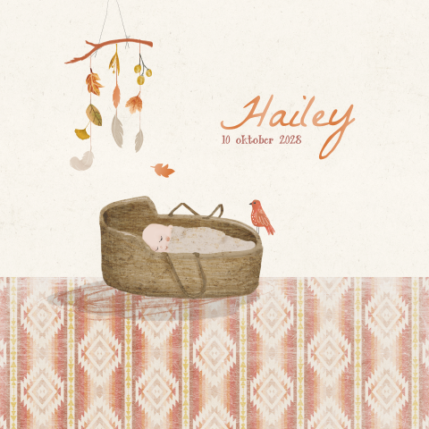 Geboortekaartje wandhanger en tekening baby in mozesmandje