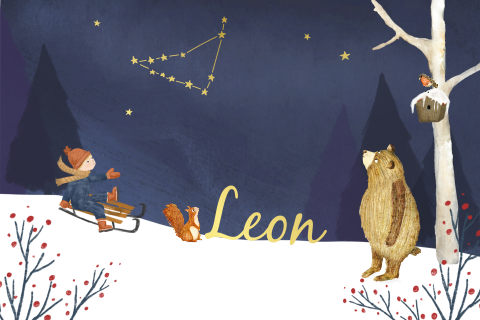 Geboortekaartje tekening kindje op slee, bosdieren en sterrenbeeld