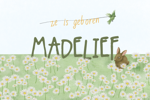 Geboortekaartje geboortebloem madeliefjes met vogel en konijntje