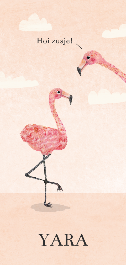 Geboortekaartje met twee flamingo's
