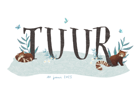 Geboortekaartje met grote letters met rode panda's en blauwe vlinders