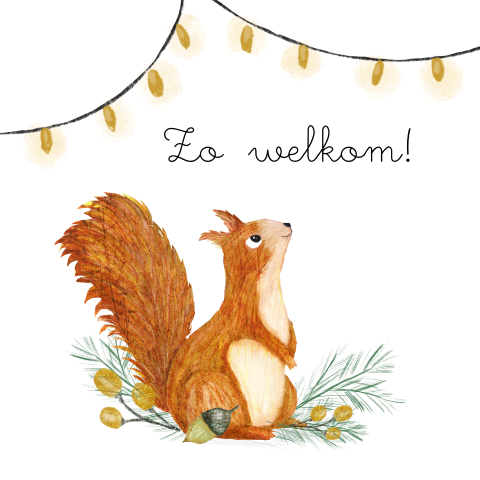 Vierkant labeltje met eekhoorn in plantjes - 16 stuks
