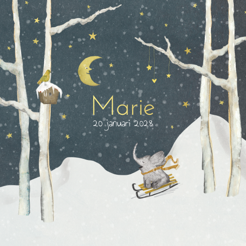 Geboortekaart olifantje slee sneeuw sterren