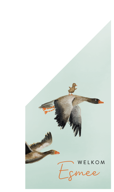 Geboortevlag vliegende ganzen