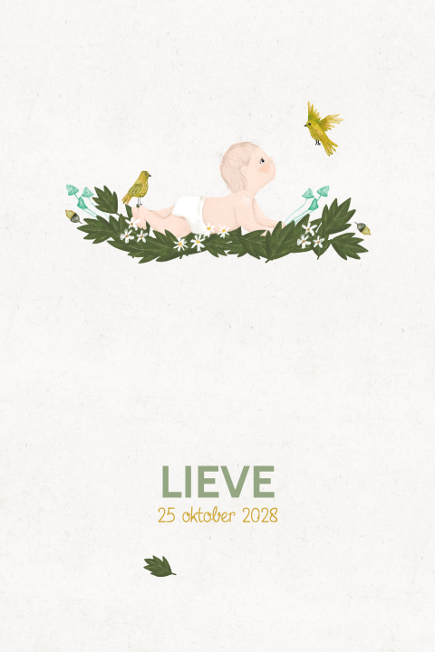 Romantisch geboortekaartje baby in bladeren en vogeltjes