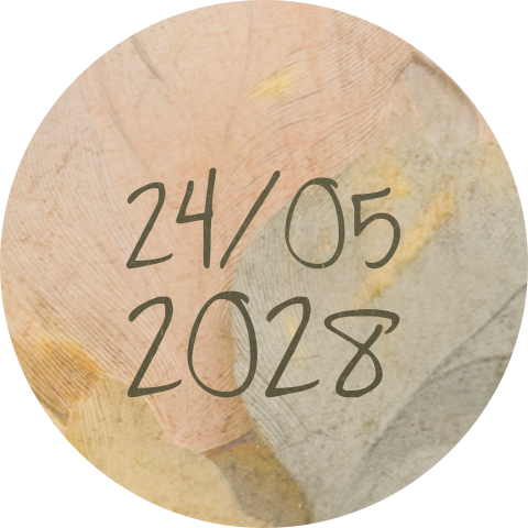 Sluitzegel magische veren verf