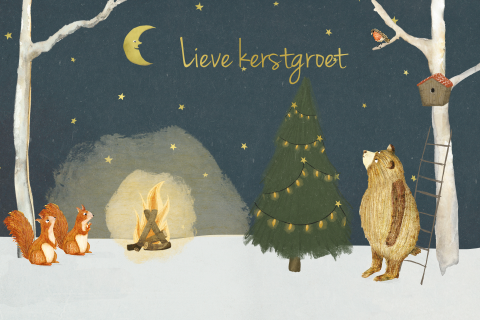 Kerstkaartje kampvuur sterrennacht