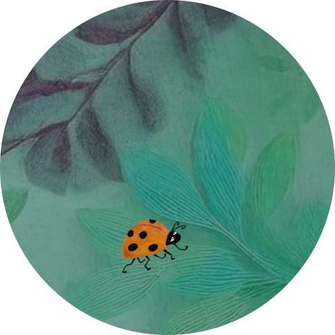 sluitzegel lieveheersbeestje magisch bos