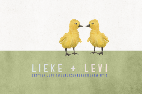 Geboortekaartje kuikens in bloemenveld tweeling