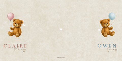 Geboortekaartje Tweeling Ballonnen Teddybeertjes Luikkaartje