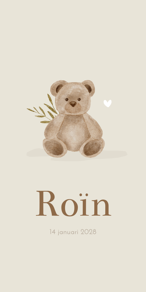 Geboortekaartje Teddybeer Roïn