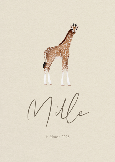 Geboortekaartje Jongen Giraffe Waterverf