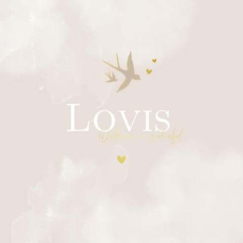 Geboortekaartje Jongen Zwaluw Vogels Naturel