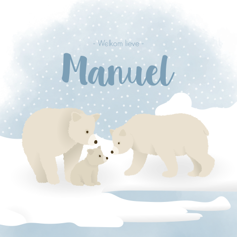 IJsbergen IJsberen Sneeuw Winter