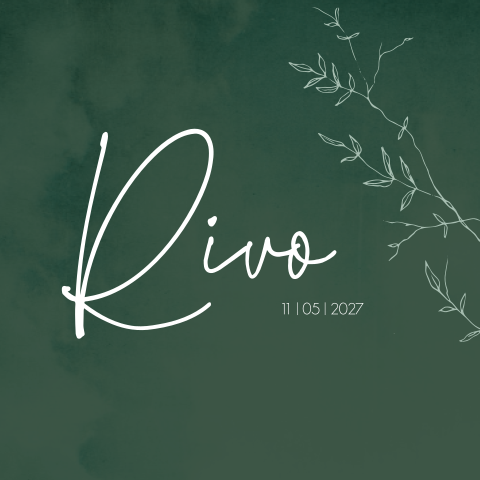 Geboortekaartje jongen groen takjes gewolkt