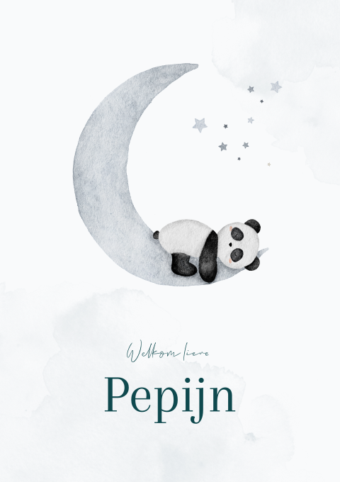 Geboortekaartje Jongen Maan Pandabeer Slapen