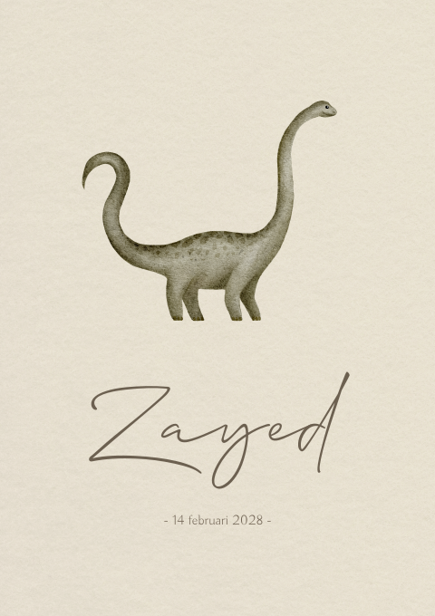 Geboortekaartje Jongen Dinosaurus Waterverf