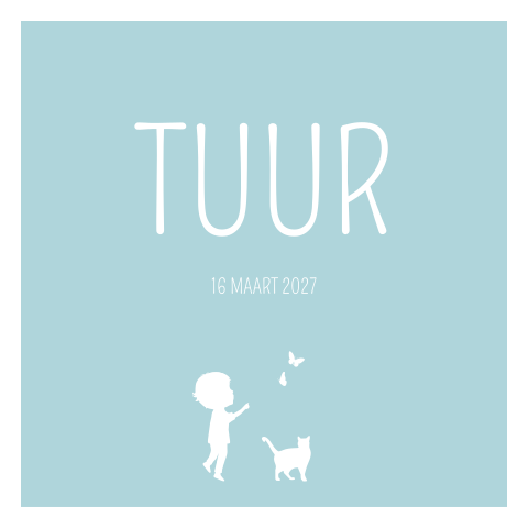 Geboortekaartje jongen blauw kat vlinders