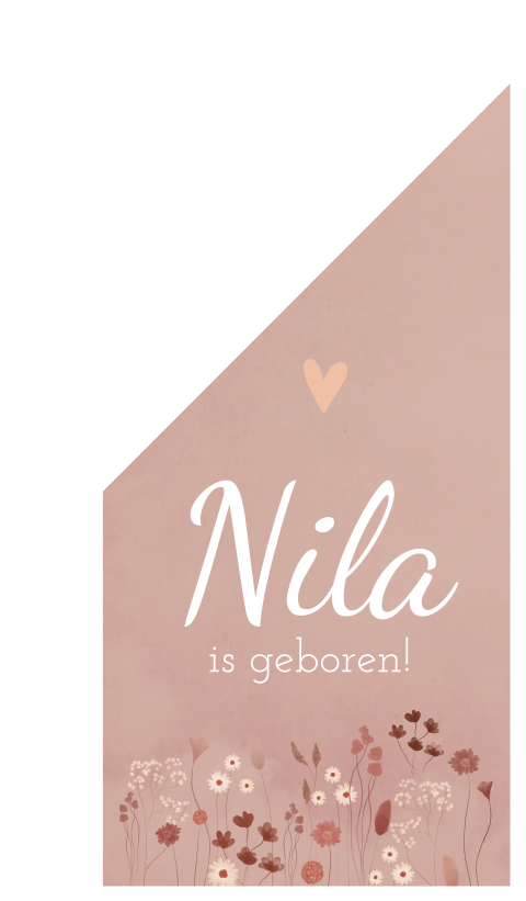 Vlag Nila