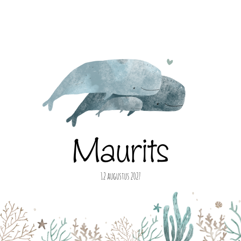 Geboortekaartje Jongen Zee Dieren Water