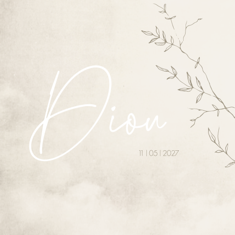 Geboortekaartje meisje beige takjes gewolkt