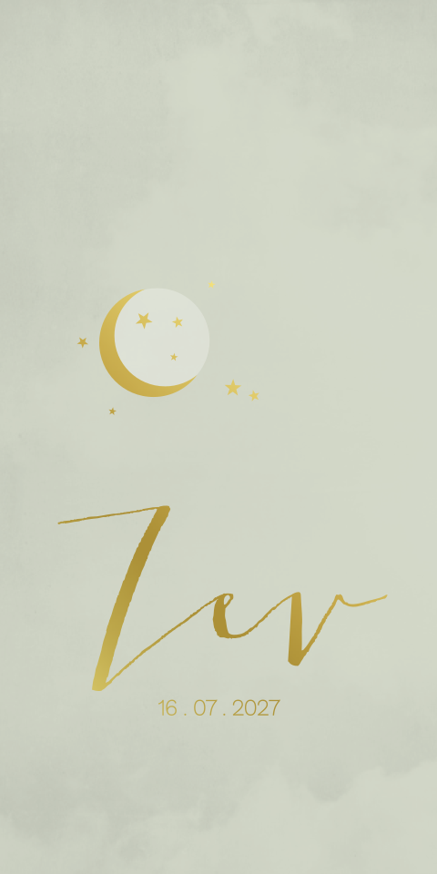 Geboortekaartje jongen goudfolie maantje mint