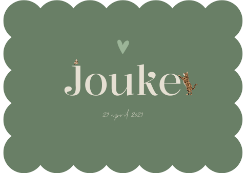 Geboortekaartje Jongen Cookie Kat Vlinder