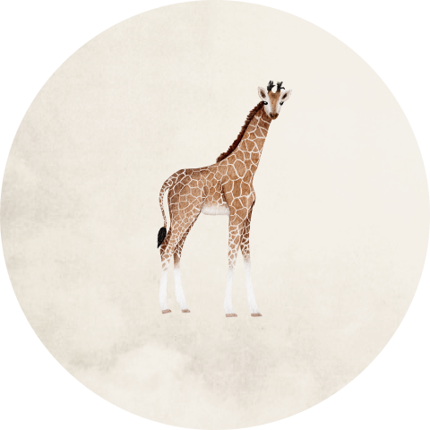 Sticker sluitzegel beige giraffe