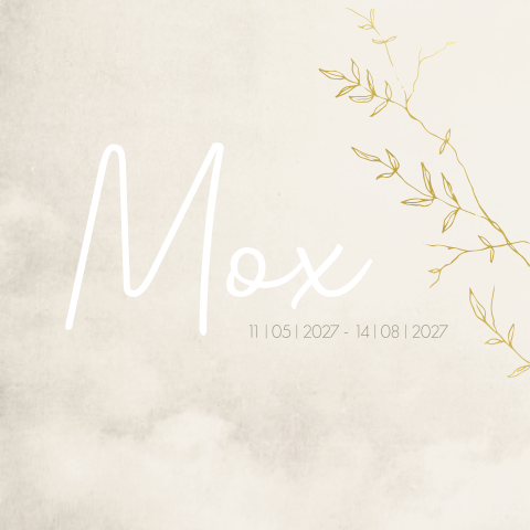 Rouwkaart jongen beige takjes botanisch