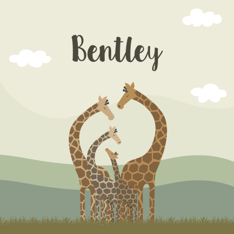 Geboortekaartje Jongen Giraffe Illustratie Safari