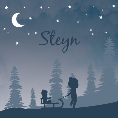 Geboortekaartje Jongen Winter Slee Sneeuw