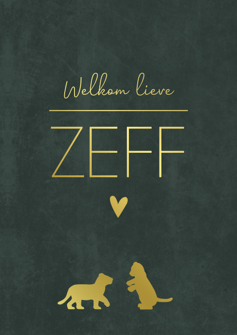 Poster Zeff