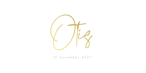 Geboortekaartje goudfolie wit strak