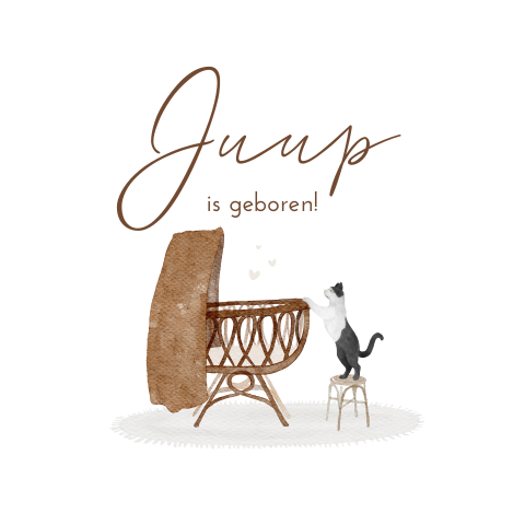 Geboortesticker Raam Jongen Wiegje Kat Poes