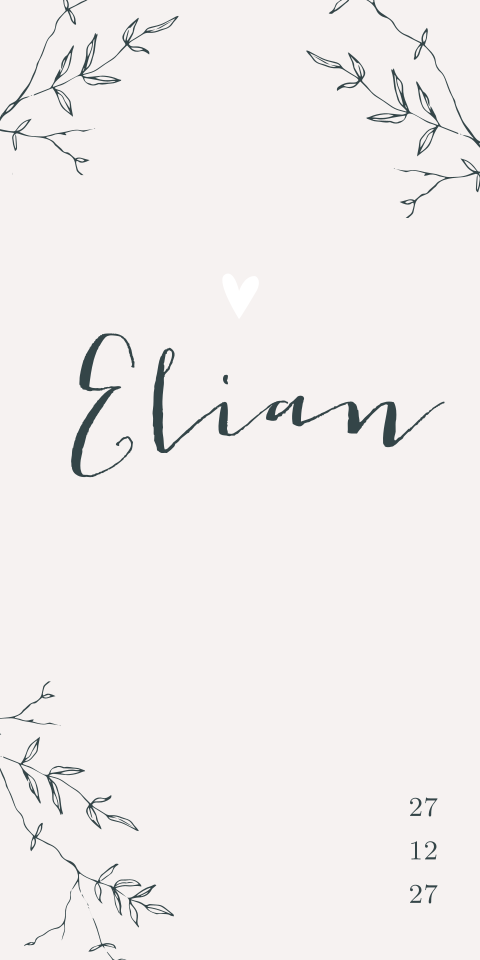 Geboortekaartje jongen beige takjes