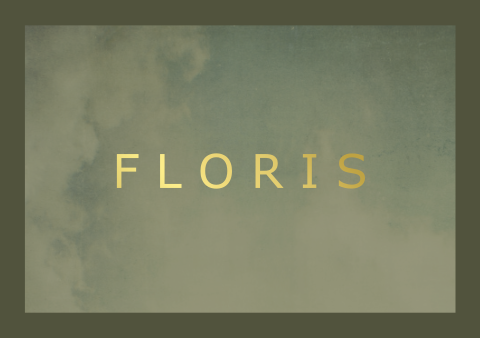 Geboortekaartje Jongen Goudfolie Groen Gewolkt